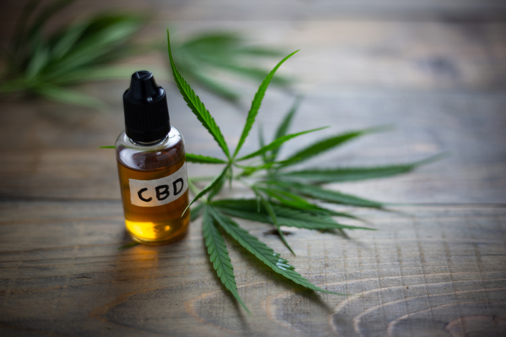 cbd cannabis oil