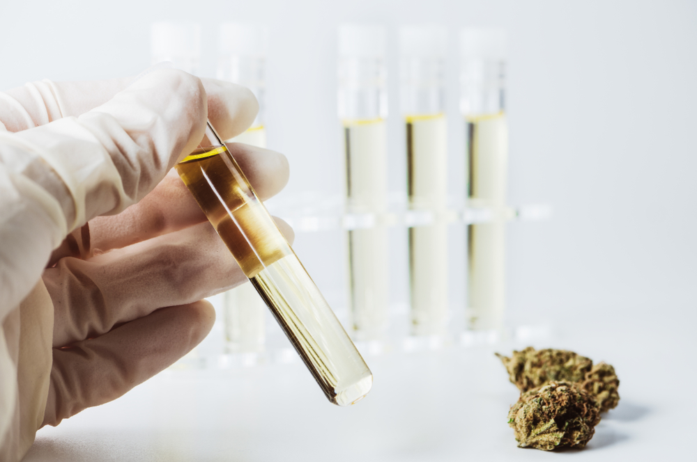 how to use cannabis oil guide